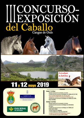 III-concurso-exposicion-caballo-cangas-de-onis
